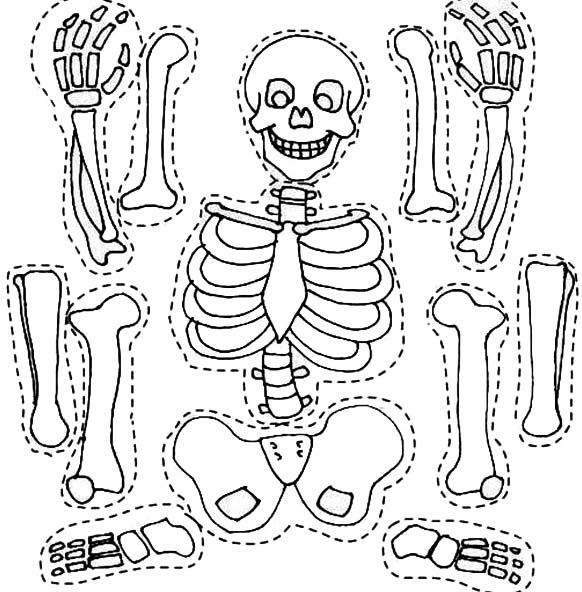 Dessin à colorier: Squelette (Personnages) #147464 - Coloriages à Imprimer Gratuits