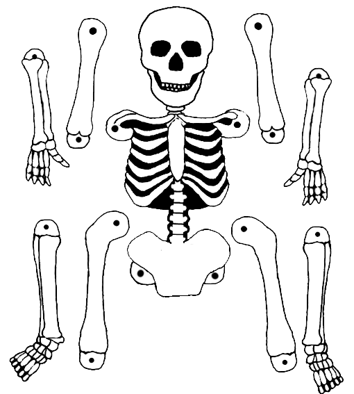 Dessin à colorier: Squelette (Personnages) #147465 - Coloriages à Imprimer Gratuits