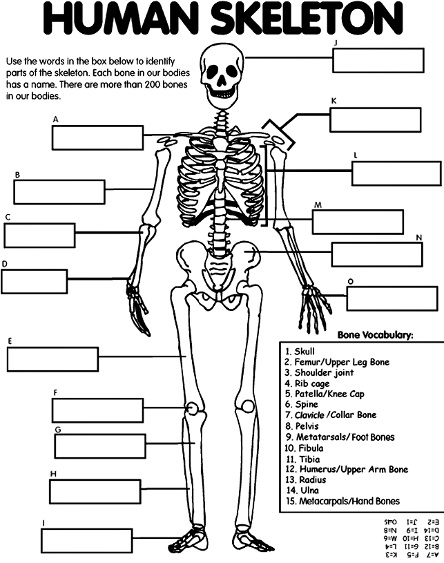 Dessin à colorier: Squelette (Personnages) #147475 - Coloriages à Imprimer Gratuits