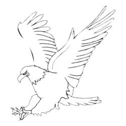 Dessin à colorier: Aigle (Animaux) #276 - Coloriages à Imprimer Gratuits