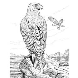 Dessin à colorier: Aigle (Animaux) #277 - Coloriages à Imprimer Gratuits