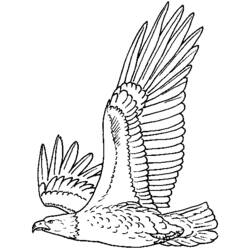 Dessin à colorier: Aigle (Animaux) #280 - Coloriages à Imprimer Gratuits