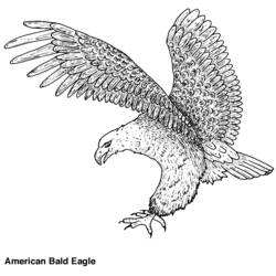 Dessin à colorier: Aigle (Animaux) #285 - Coloriages à Imprimer Gratuits