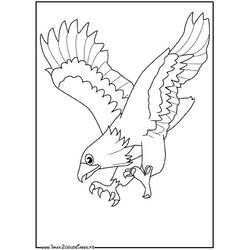 Dessin à colorier: Aigle (Animaux) #290 - Coloriages à Imprimer Gratuits