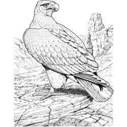 Dessin à colorier: Aigle (Animaux) #291 - Coloriages à Imprimer Gratuits