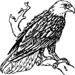 Dessin à colorier: Aigle (Animaux) #292 - Coloriages à Imprimer Gratuits