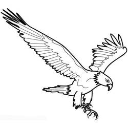 Dessin à colorier: Aigle (Animaux) #294 - Coloriages à Imprimer Gratuits