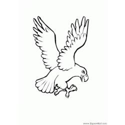 Dessin à colorier: Aigle (Animaux) #303 - Coloriages à Imprimer Gratuits