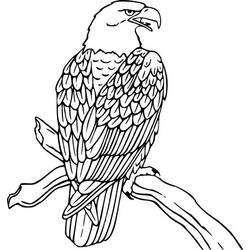 Dessin à colorier: Aigle (Animaux) #308 - Coloriages à Imprimer Gratuits