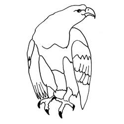 Dessin à colorier: Aigle (Animaux) #316 - Coloriages à Imprimer Gratuits