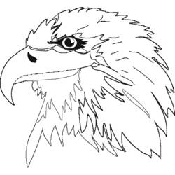 Dessin à colorier: Aigle (Animaux) #341 - Coloriages à Imprimer Gratuits
