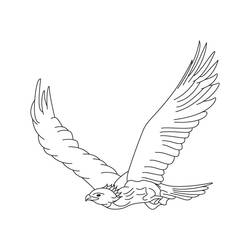 Dessin à colorier: Aigle (Animaux) #353 - Coloriages à Imprimer Gratuits