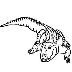 Dessin à colorier: Alligator (Animaux) #380 - Coloriages à Imprimer Gratuits