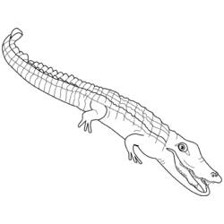 Dessin à colorier: Alligator (Animaux) #384 - Coloriages à Imprimer Gratuits