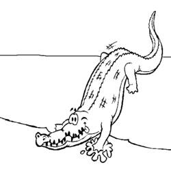 Dessin à colorier: Alligator (Animaux) #387 - Coloriages à Imprimer Gratuits