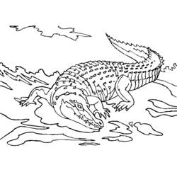 Dessin à colorier: Alligator (Animaux) #411 - Coloriages à Imprimer Gratuits