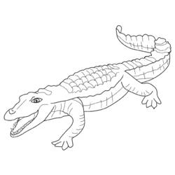 Dessin à colorier: Alligator (Animaux) #429 - Coloriages à Imprimer Gratuits