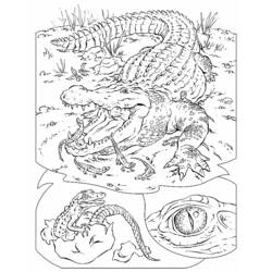 Dessin à colorier: Alligator (Animaux) #443 - Coloriages à Imprimer Gratuits