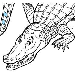 Dessin à colorier: Alligator (Animaux) #474 - Coloriages à Imprimer Gratuits
