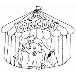 Dessin à colorier: Animaux de cirque (Animaux) #20807 - Coloriages à Imprimer Gratuits