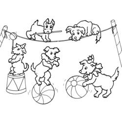 Dessin à colorier: Animaux de cirque (Animaux) #20854 - Coloriages à Imprimer Gratuits