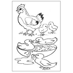Dessin à colorier: Animaux de la ferme (Animaux) #21440 - Coloriages à Imprimer Gratuits