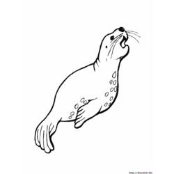 Dessin à colorier: Animaux marins (Animaux) #22145 - Coloriages à Imprimer Gratuits