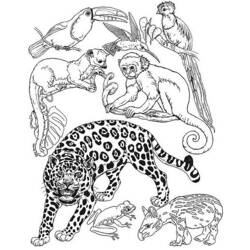Dessin à colorier: Animaux sauvages / de la jungle (Animaux) #21101 - Coloriages à Imprimer Gratuits
