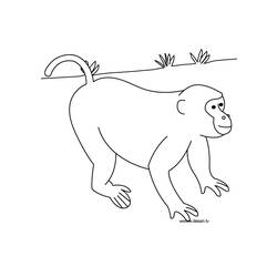 Dessin à colorier: Animaux sauvages / de la jungle (Animaux) #21359 - Coloriages à Imprimer Gratuits