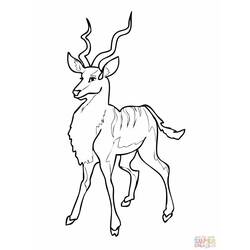Dessin à colorier: Antilope (Animaux) #22598 - Coloriages à Imprimer Gratuits