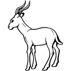 Dessin à colorier: Antilope (Animaux) #22599 - Coloriages à Imprimer Gratuits