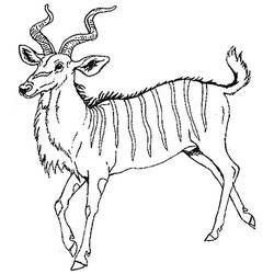 Dessin à colorier: Antilope (Animaux) #22637 - Coloriages à Imprimer Gratuits