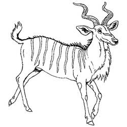 Dessin à colorier: Antilope (Animaux) #22645 - Coloriages à Imprimer Gratuits