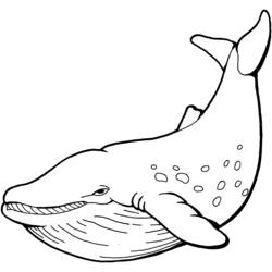Dessin à colorier: Baleine (Animaux) #866 - Coloriages à Imprimer Gratuits
