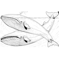 Dessin à colorier: Baleine (Animaux) #872 - Coloriages à Imprimer Gratuits