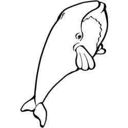 Dessin à colorier: Baleine (Animaux) #880 - Coloriages à Imprimer Gratuits