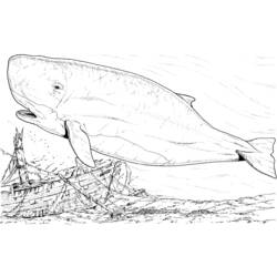 Dessin à colorier: Baleine (Animaux) #883 - Coloriages à Imprimer Gratuits