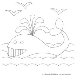 Dessin à colorier: Baleine (Animaux) #889 - Coloriages à Imprimer Gratuits