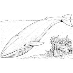 Dessin à colorier: Baleine (Animaux) #895 - Coloriages à Imprimer Gratuits