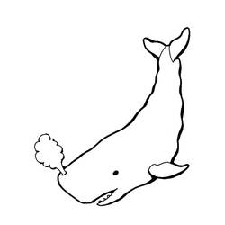Dessin à colorier: Baleine (Animaux) #896 - Coloriages à Imprimer Gratuits
