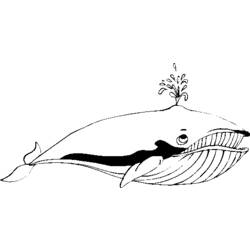 Dessin à colorier: Baleine (Animaux) #904 - Coloriages à Imprimer Gratuits