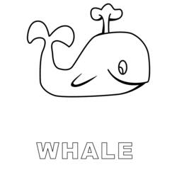Dessin à colorier: Baleine (Animaux) #905 - Coloriages à Imprimer Gratuits
