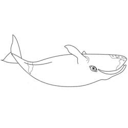 Dessin à colorier: Baleine (Animaux) #924 - Coloriages à Imprimer Gratuits