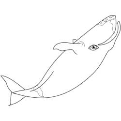 Dessin à colorier: Baleine (Animaux) #928 - Coloriages à Imprimer Gratuits