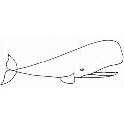 Dessin à colorier: Baleine (Animaux) #929 - Coloriages à Imprimer Gratuits