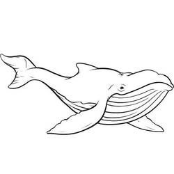 Dessin à colorier: Baleine (Animaux) #934 - Coloriages à Imprimer Gratuits