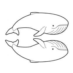 Dessin à colorier: Baleine (Animaux) #936 - Coloriages à Imprimer Gratuits