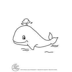 Dessin à colorier: Baleine (Animaux) #942 - Coloriages à Imprimer Gratuits