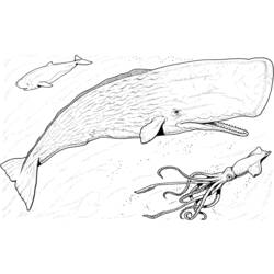 Dessin à colorier: Baleine (Animaux) #943 - Coloriages à Imprimer Gratuits