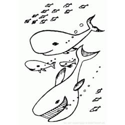 Dessin à colorier: Baleine (Animaux) #960 - Coloriages à Imprimer Gratuits
